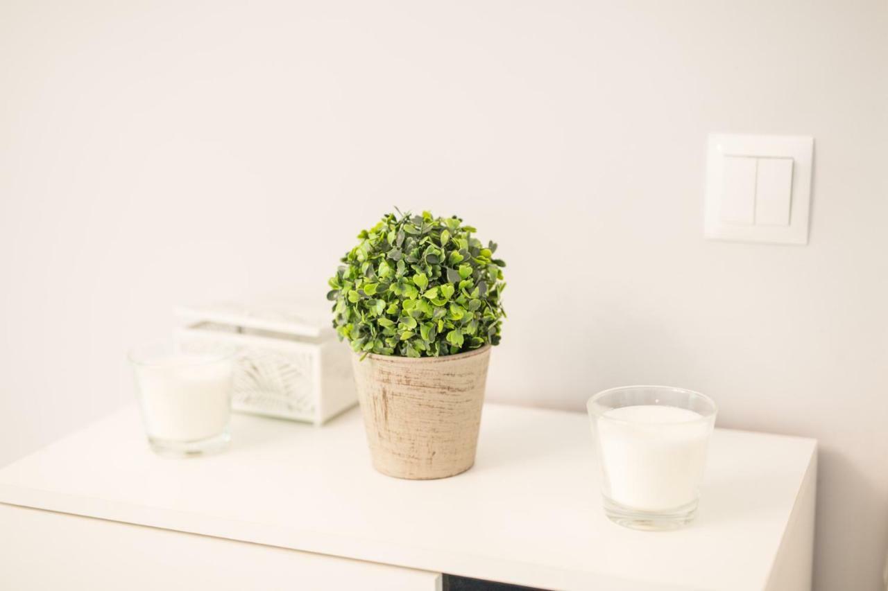 Apartament Ujasia 스와프스크 외부 사진